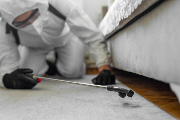 Professional Ant Control technician working in Crystal City, TX